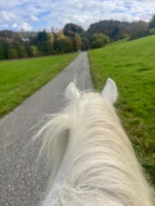Auf dem Rücken des Pferdes