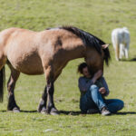 Anna sitzend mit ihrem Pferd auf der Wiese