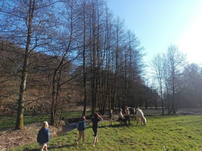 Waldausflug