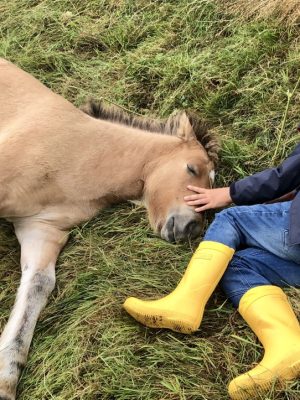 Anouk liegt im Gras mit einem Kind