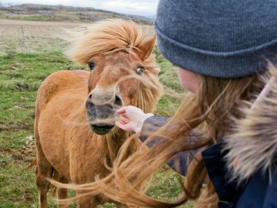 A woman is petting a horse in a field